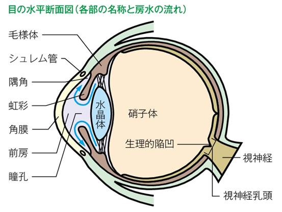 緑内障2018100507582804946d5f7a5